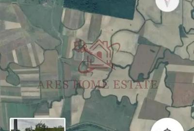 Teren de 50000 mp, în Bazoș