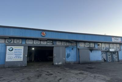 VOLUNTARI, HALA 250 MP! - 1