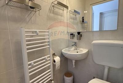 Garsonieră decomandată, mobilată în Zorilor - 7