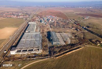 Teren de 135000 mp, în Turdaș - 5