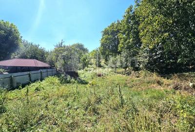 Casa individuala | Teren 870mp | Dambul Rotund | Zona Strazii Spicului - 2