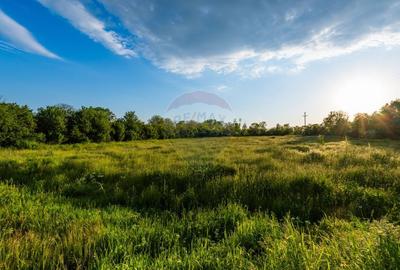 Teren agricol intravilan de 4734 mp, în Ciocești - 2