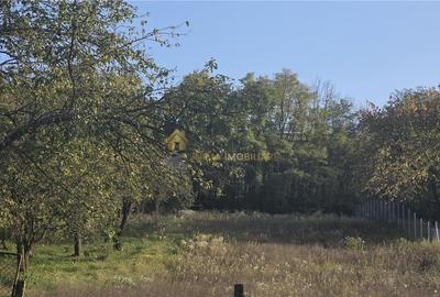 CASA  CU TEREN 2690 MP MOCIU CASA  CU TEREN 2690 MP MOCIU - 6