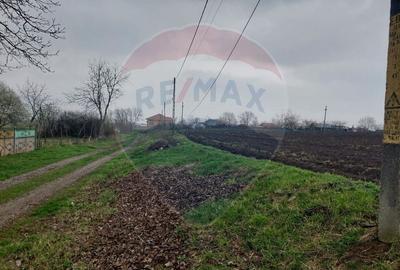 Teren agricol partial intravilan de vanzare in Filipesti jud. Bacau - 1