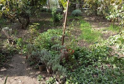 Casa ?i teren zona ultracentrala Casa ?i teren zona ultracentrala - 4