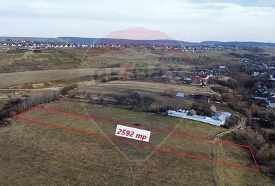Teren 2925 mp comuna Mitocu Dragomirnei - 14