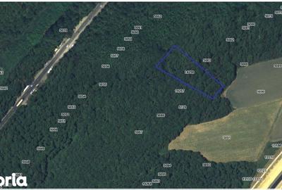 Teren de 5000 mp, în Lunca - 2