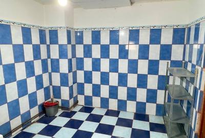 Casa individuala Snagov - Sat Snagov, P+1, doua garaje - 48