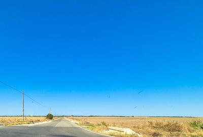 Teren de 120000 mp, în Teiu