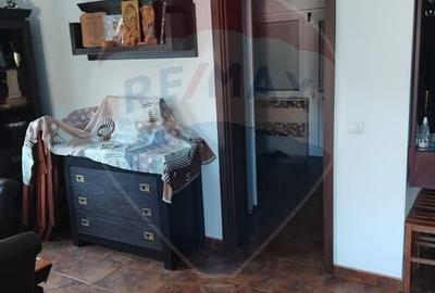 Vilă premium de vânzare | Exclusivitate | Băile Olănești - 10