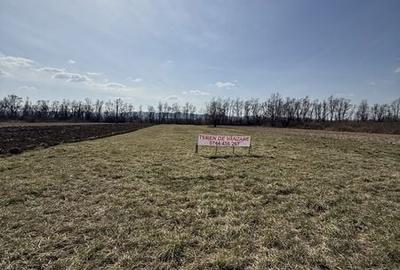 Teren de 6000 mp, în Ileanda - 3