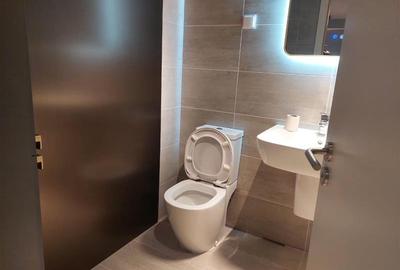 Apartament cu 2 camere semidecomandat în Costin Georgian - 13