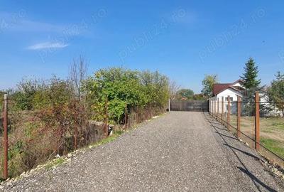 Vand Teren Domnesti - 2