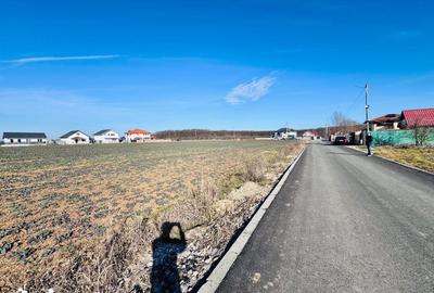 Teren de 1600 mp, în Snagov - 7
