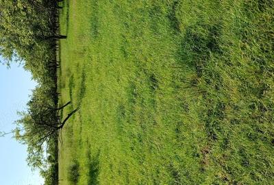 Teren de 400 mp, în Central - 4