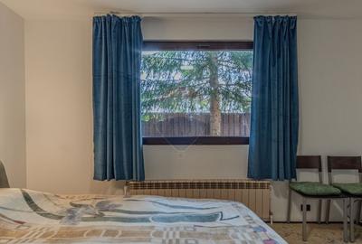 Casa de vacanta sau investitie turistica in Gresu - langa Lepsa - 43