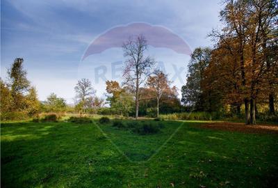 Domeniu Baronial de vanzare in localitatea CIL , Judet Arad - 5