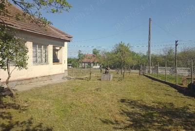 Casă cu 3 camere cu Teren 4123 Mp în Viile Satu Mare - 1