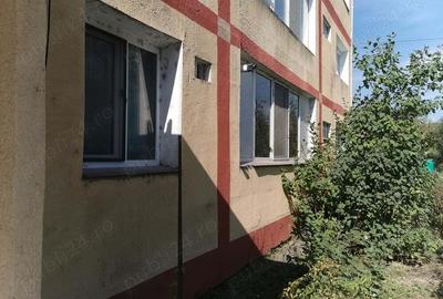Apartament 2 camere, parter - 5
