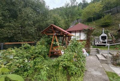 Casa de vanzare la munte! - 2