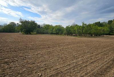 Casa ?i teren de vanzare - 1