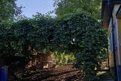 Casă cu 3 camere cu Teren 2400 Mp în Budacu de Jos - 2