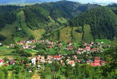 Tur LIVE!Casa cu arhitectura traditionala, curte spatioasa,foisor,Rucar-Bran - 21