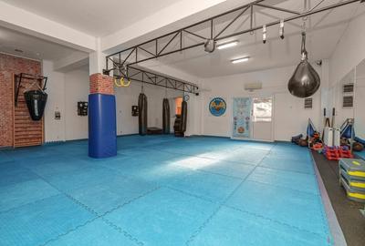Direct proprietar Vila P+2+curte,ZOna MArgeanului - 10