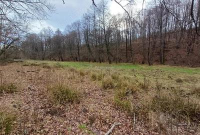 Resita, Teren Drept Intravilan, Langa Prau si Drum, Parcelabil, 4500 Mp., 15 Euro Mp., Renk - 3