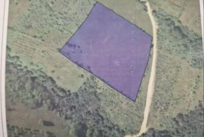 Teren de 16441 mp, în Podeni - 1