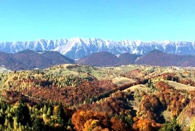 Teren Construcții intravilan de 7283 mp, în Moieciu de Jos - 12