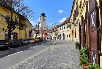 Apartament elegant in inima Sibiului - PROPRIETAR Apartament elegant in inima Sibiului - PROPRIETAR - 10