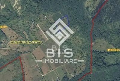 Teren extravilan de 10000 mp, în Sud - 4