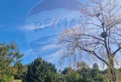 OCAZIE.  De vanzare teren in Cicarlau - Strada 1 Mai - super pret - 2