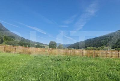 Teren Plaiul Foii, vedere spre muntii Bucegi si apa Barsa 10 - 13