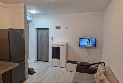 Apartament cu 2 camere decomandat în Roșu - 4