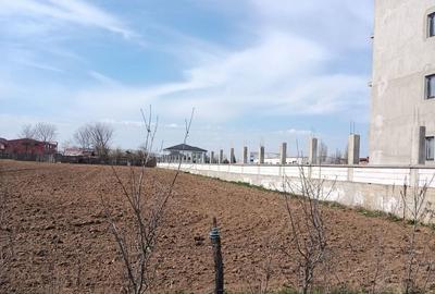 Teren de 2414 mp, în Afumați