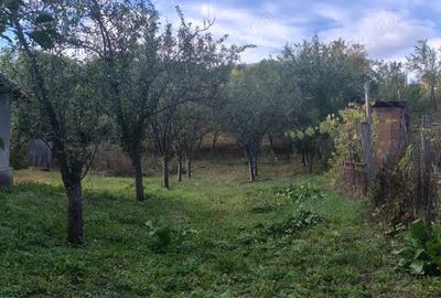 Casa de vanzare in ilovat, mehedinti - 3