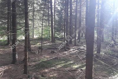 Teren intravilan  Avrig pe Valea Avrigului in zona Mlaci - 2