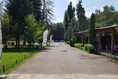 Spatiu  comercial -Parc Herastrau - 10