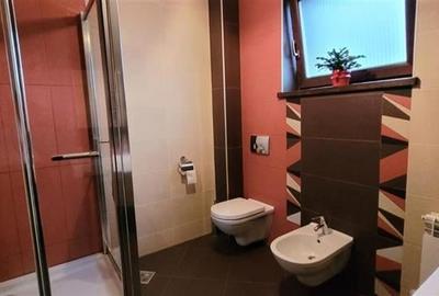 Proprietate unica de lux-oportunitate afacere,Sibiu,comision 0 - 6