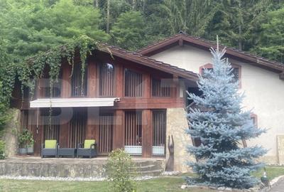 Vila in stil elve?ian Campulung Moldovenesc, 155 mp - 31