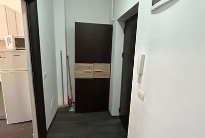 Garsonieră în Chiajna - 11