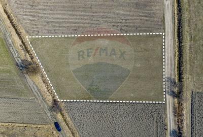 Teren agricol extravilan de 3700 mp, în Lunca Calnicului - 12