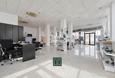 Spațiu comercial, de 886 mp, în Micălaca - 18