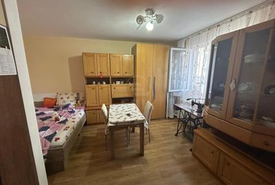 Apartament 1 camera decomandat zona Cetatii - 5