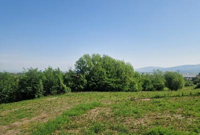 Teren intravilan – 3.101 mp, Tărlungeni, Brașov – ideal pentru casă de vacanta - 1