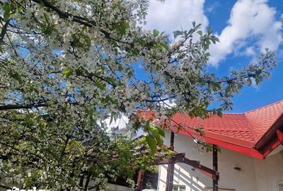 Casă cu 4 camere cu Teren 160 Mp în Bucium - 2