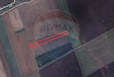 Teren agricol extravilan de 5876 mp, în Hărman - 4