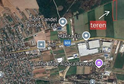 Teren cu potențial investițional – Brănești, zona Complexului Makita Teren cu potențial investițional – Brănești, zona Complexului Makita - 2
